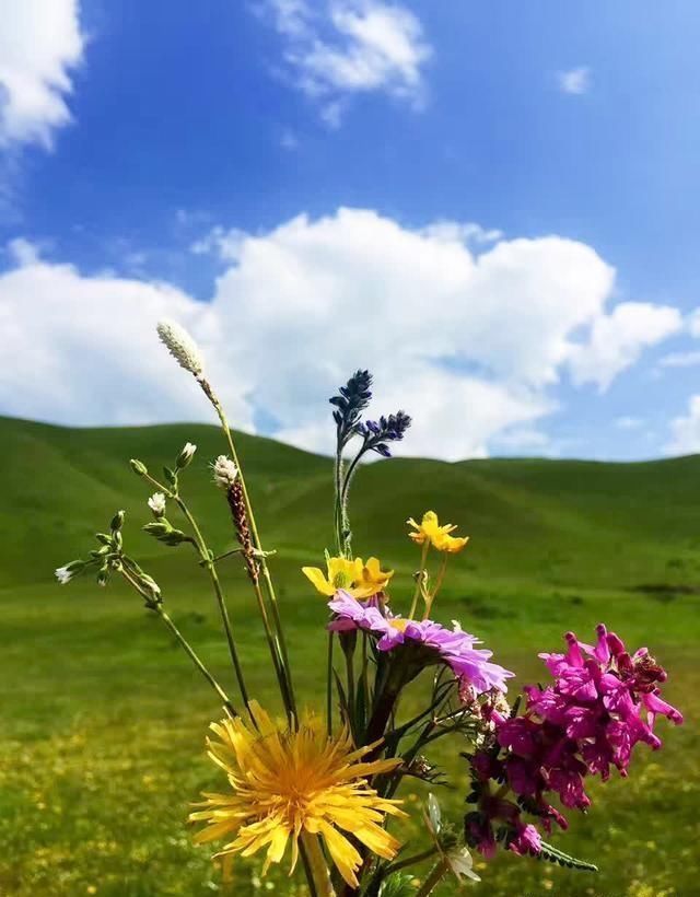 四川人告诉你:四川最美风景在川西,世界级景观美不胜收