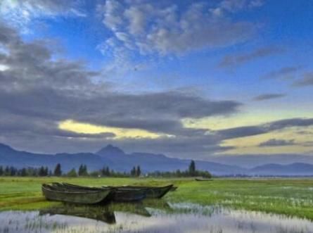  唯一■中国唯一不设“B字母”车牌的省份，其中的原因，你知道吗