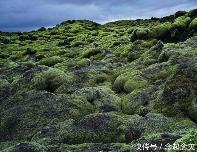 冰岛神秘的“苔原”景观,如同置身天外星球,还曾掩盖一个村庄