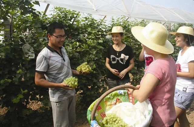  [返乡]2019刚过去一半，就有农民返乡后不再出去务工，咋回事？