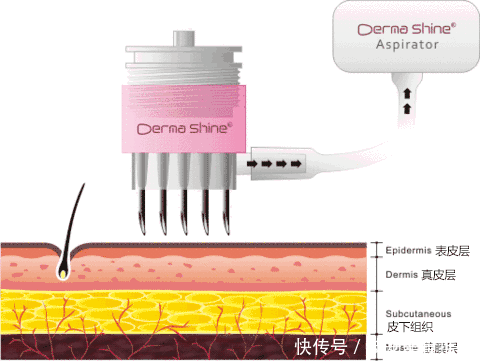 『杯水』你以为明星和网红真的只需每天八杯水吗?