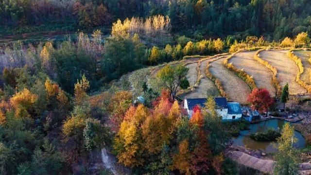  利用试点示■刚刚批复！安徽18个县试点盘活农村闲置住宅（附名单）