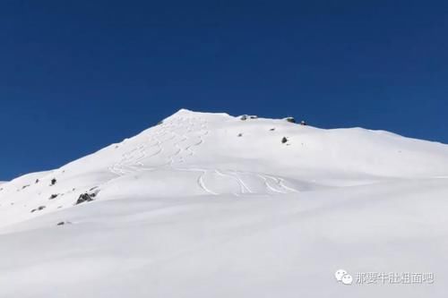 全球滑者都向往的阿尔卑斯到底有多美？