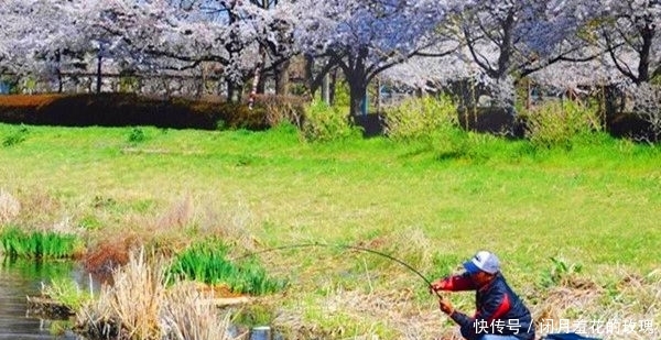 『配方』仲春开始钓大鱼,掌握这些狠招数,钓大鱼不难,钓一次爽一次!