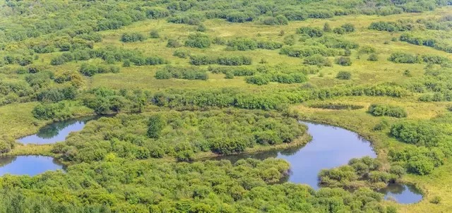 中国最大湿地公园，相当于一个县那么大，号称“亚洲第一湿地”