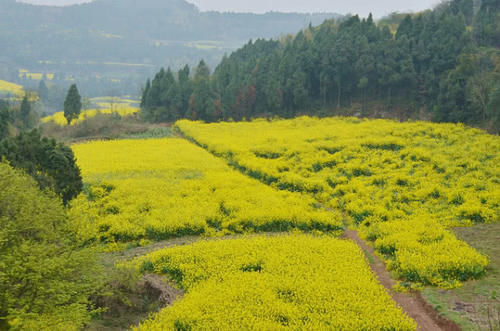  「紧追」四川最受期望的一座城市，已经超越宜宾，在紧追绵阳，