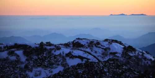 黄山迎客松100年前和现在，竟保持一个造型！网友：是棵假树？