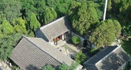  #庭院#园艺——北京四合院