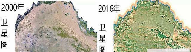  获奖：种树都可以拿诺贝尔和平奖, 为什么库布齐治沙不给获奖