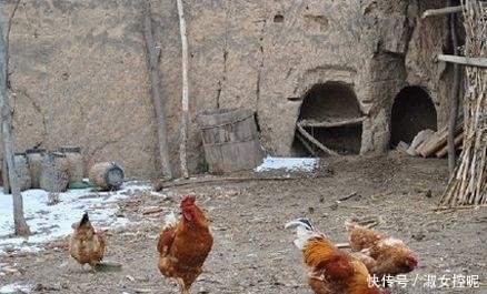  「怕生」农村俗语老话“男怕生前，女怕生后”，你知道其中意思