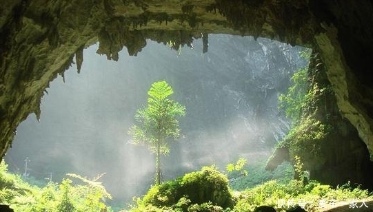 号称长寿之乡的巴马，如今变成什么样了？说出来你可能还不相信