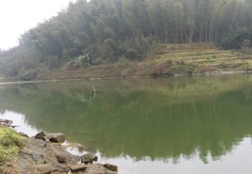  「高铁」四川这个小县将崛起，荣获780亿高铁助力，未来发展节节