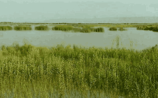 沙漠被中国感动天然形成6000亩湖泊助力治沙,自然的馈赠