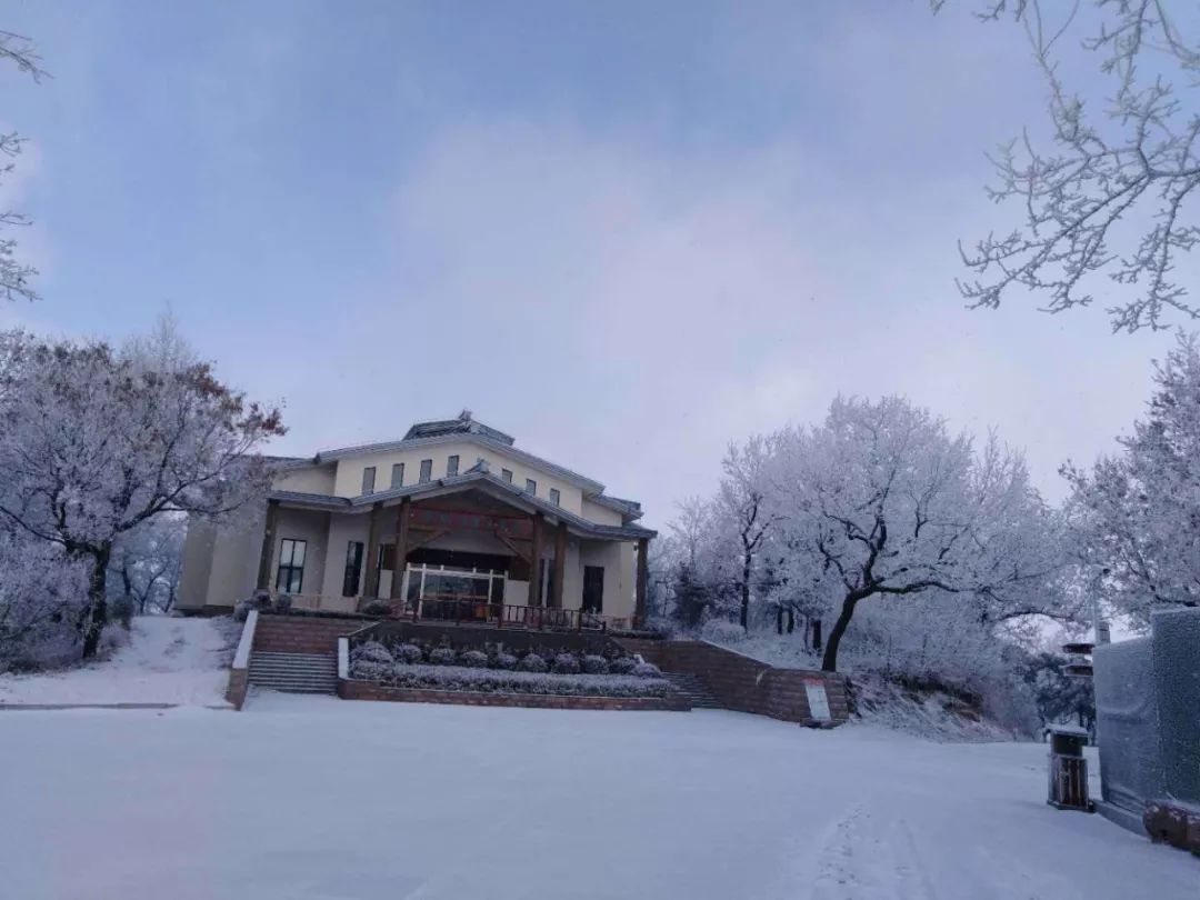 潍坊喜迎新年第一场雪！这里的雪景最好看！