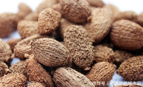  「砂仁」这东西，人称“土黄金”，稀有价值高，稍微一加工，每