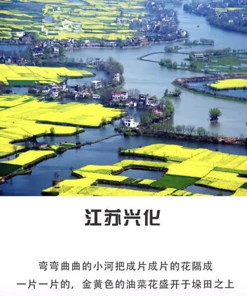 春天看油菜花好去处，错过了就要再等一年！