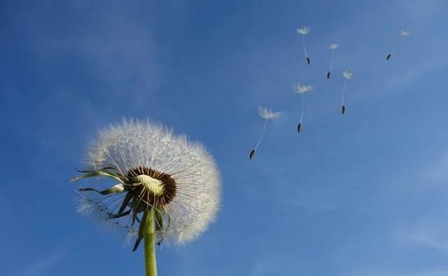  #快快#老祖宗留下来的气象谚语，快快存下！