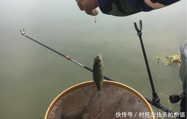 进阶|野钓不可太随意，针对搭配效果会更好，新手进阶推荐