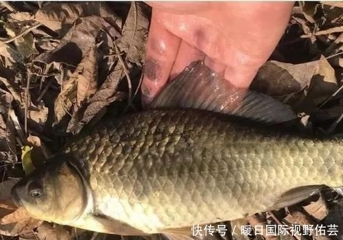 『水质』刮什么风最好钓鱼和最难钓鱼?17年的经验,得出了这个结论