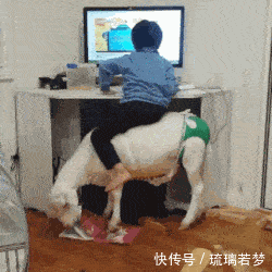 搞笑GIF:啥条件啊,家里有矿啊?