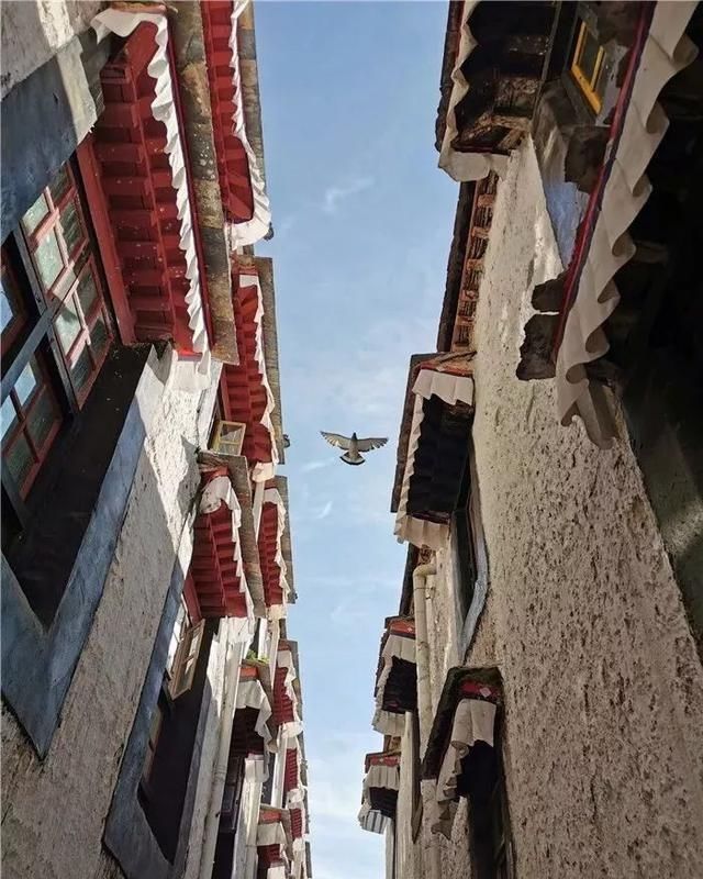 西藏 未得相见，已然想念