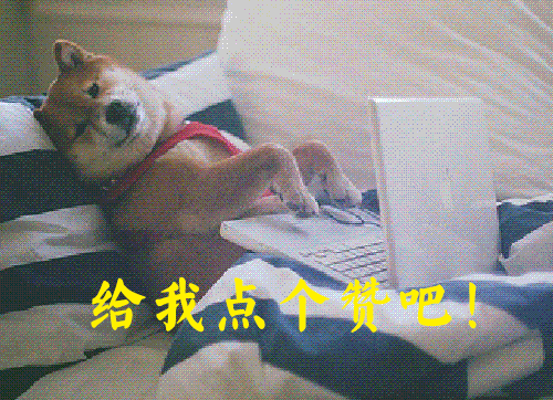 为何中国发展如此迅速，让西方震惊不已，日本专家说出了这几个字