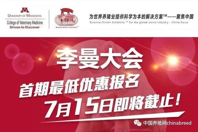 男子借猪瘟造谣“郑州多人感染猪病毒死亡”被抓获