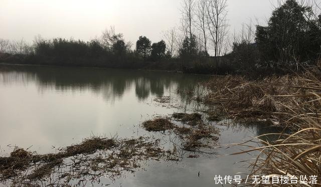 努力:惊蛰过后,钓底还是钓浮考虑水情和鱼情,选择大于努力