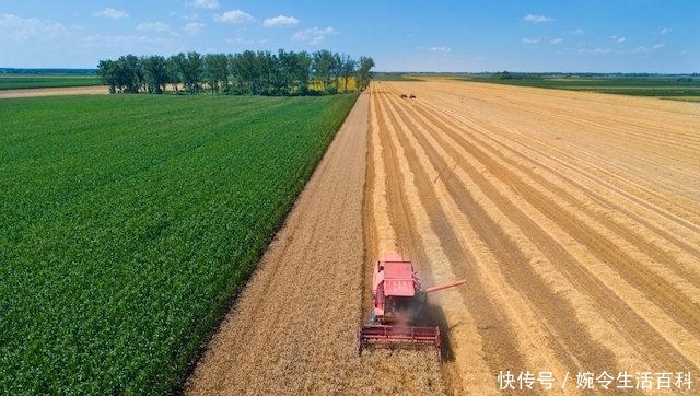 农民种地能喂饱全中国，国家每年还进口1亿吨粮食，只因为便宜？