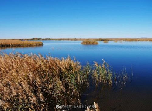 去武威,去戈壁和沙漠的边缘撒个欢