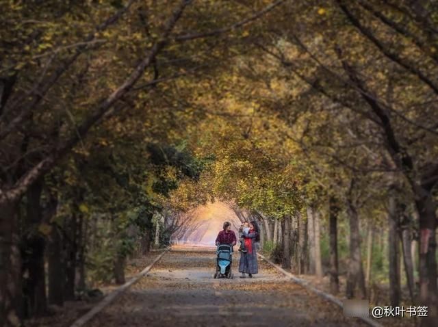 2019杏会邳州｜巩伟鸣邳州美景摄影作品欣赏