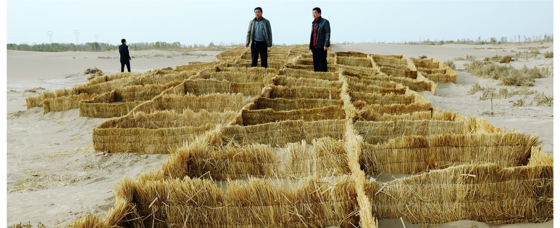 中国将草方格升级，彻底解决沙漠荒漠化，成为世界治沙史上的奇迹