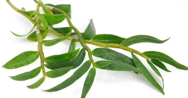 来雁荡山,用大自然的力量滋养我们的身心