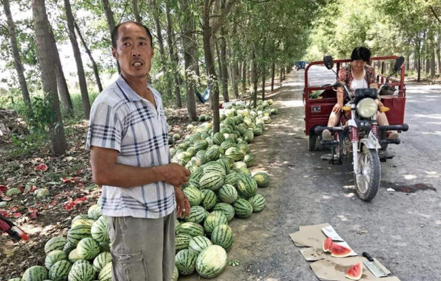 批发市场满地瓜，收购商却没几个，10万斤瓜买不出价瓜农愁苦