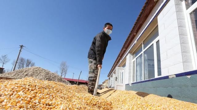  【带动】土地流转“多花样”，带动致富新路子