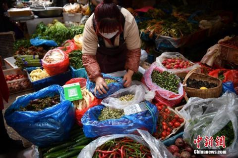  【新鲜上市的各种山茅】“春”到昆明菜市场 山茅野菜惹人爱