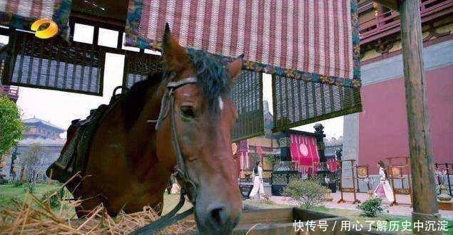 地下@国博“镇馆之宝”曾被当作马槽,又被深埋地下14年,专家痛心疾首