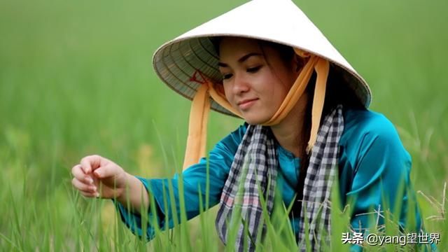 越南人定居广西，在广西人眼里越南人如何？与我们想的不太一样