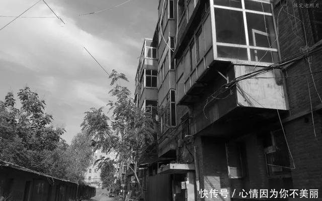  五金@保定高阳老照片五金公司，汽车站，北环路，老十字街，国营染厂