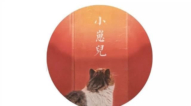 一年 30 多趟故宫，只为拍摄超赞「故宫猫咪图籍」！