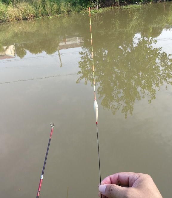  技巧：浮漂的选用技巧：漂尾、漂脚的特点不同，适合鱼情差别有点大！