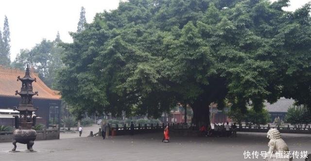 成都最低调古刹，日本视为祖庭，规模比文殊院、大慈寺都大