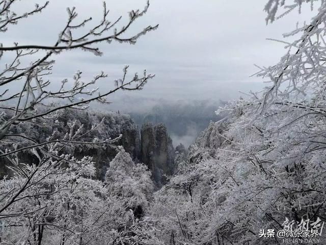 赞!张家界春节收入18亿，春雪正美，再不来要后悔了!