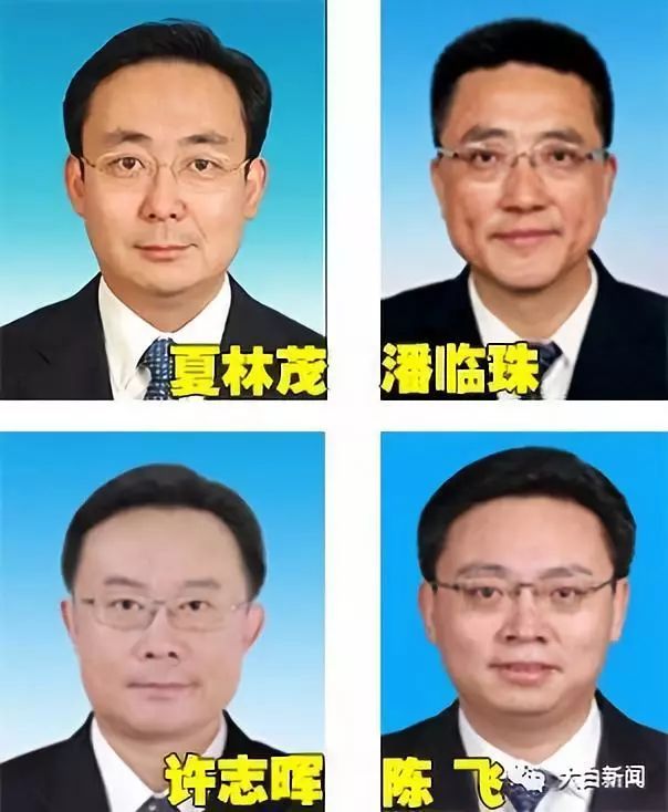 一周内，3城市迎来4名“博士”厅官！