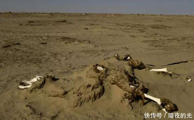 摩托车长途旅行，如何安全穿过无人区？