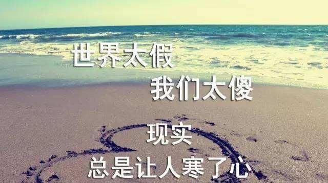 什么是社会 什么叫现实 句句大实话