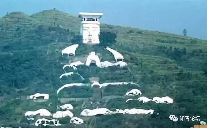  [一大]各省市新出现一大“怪现象”，99%的人没见过！