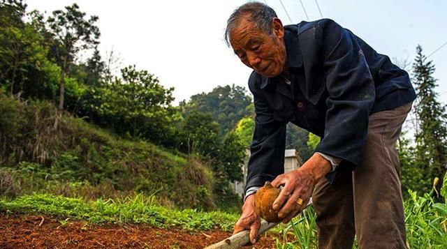  [更好]在未来10年里，农村会更好还是更坏？