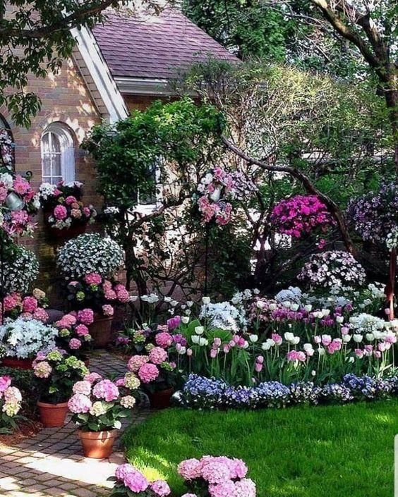 等我们老了，一起建个这样的小院，荒度余生！