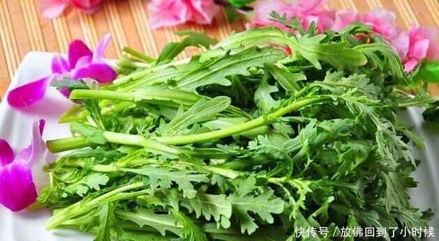 孕妇能吃茼蒿菜吗今天终于有答案了,爱吃茼蒿